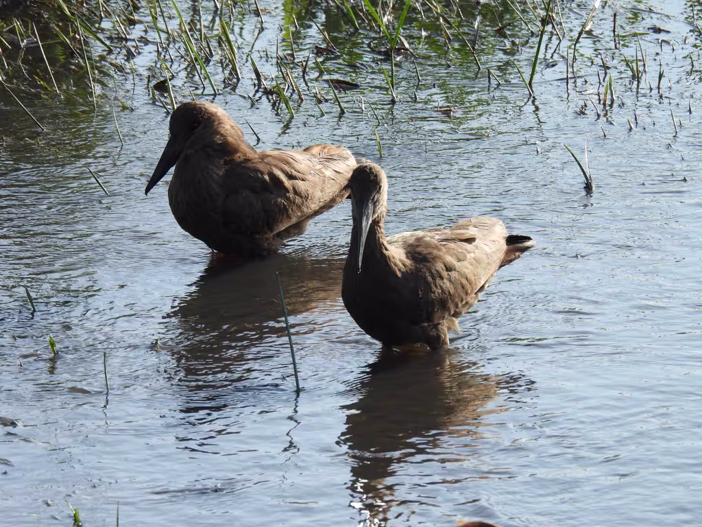 Nairobi Private Tour - 