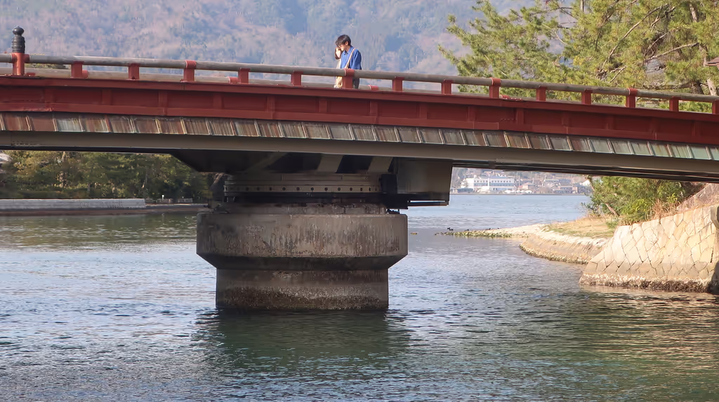 Kyoto Private Tour - Turning bridge