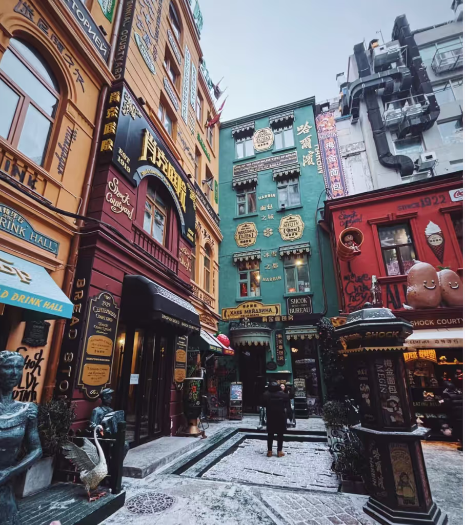 Harbin Private Tour - 