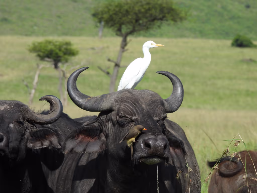 Nairobi Private Tour - 