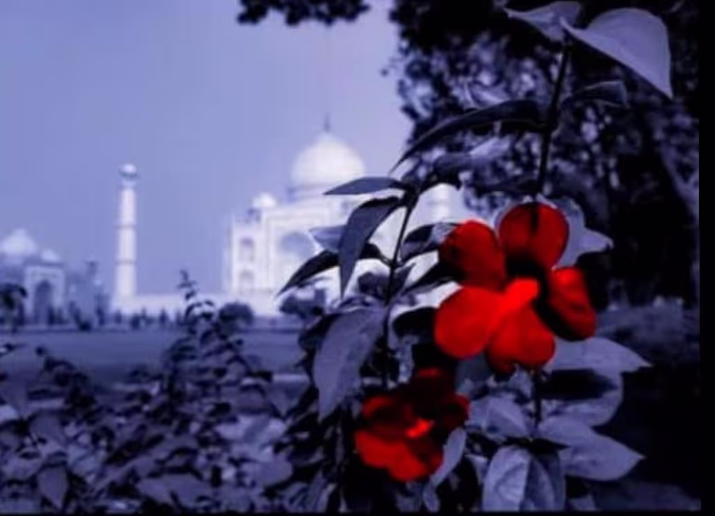 Delhi Private Tour - 