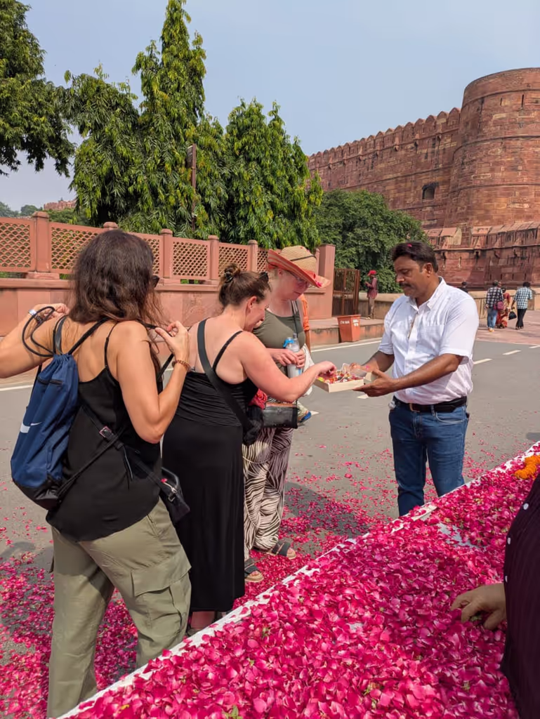 Delhi Private Tour - 