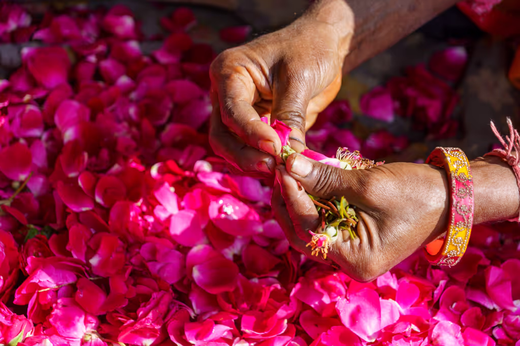 Jaipur Private Tour - 