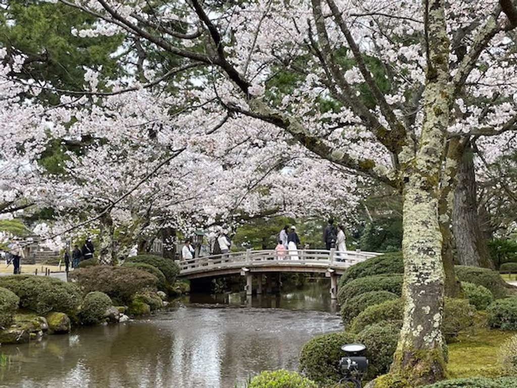 Kanazawa Private Tour - 