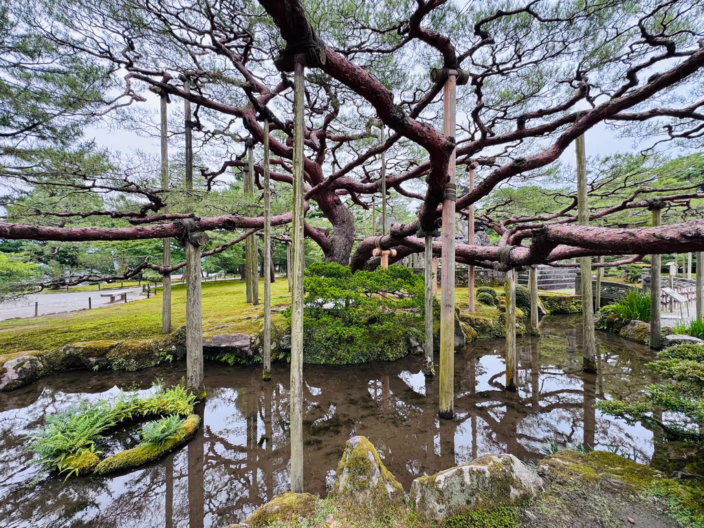 Kanazawa Private Tour - Many inspiring moments during the tour