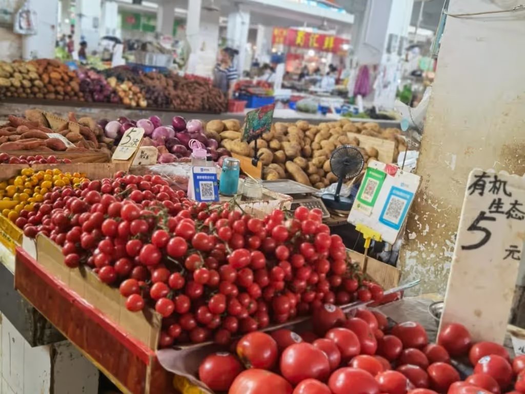 Chengdu Private Tour - LOCAL WET MARKET | Vibrant Colors of Chengdu
