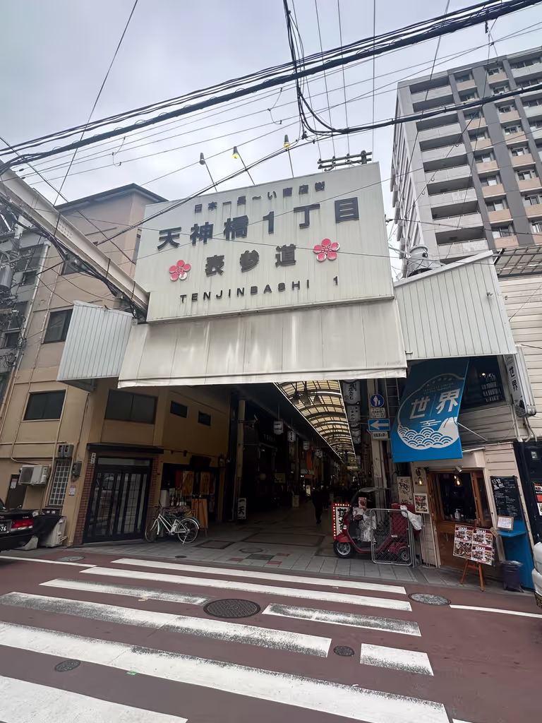 Osaka Private Tour - 