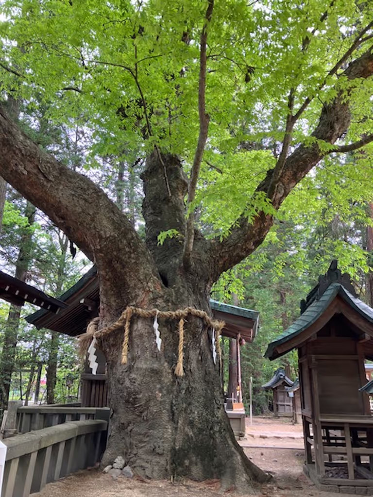 Nagano Private Tour - Hotaka Shrine