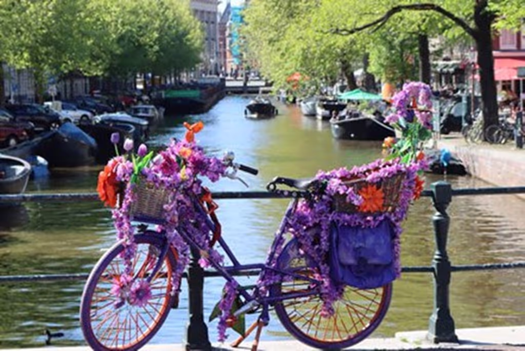 Amsterdam Private Tour - 
