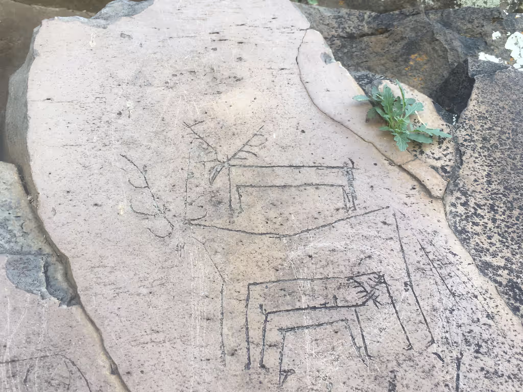 Tbilisi Private Tour - Trialeti petroglyphs