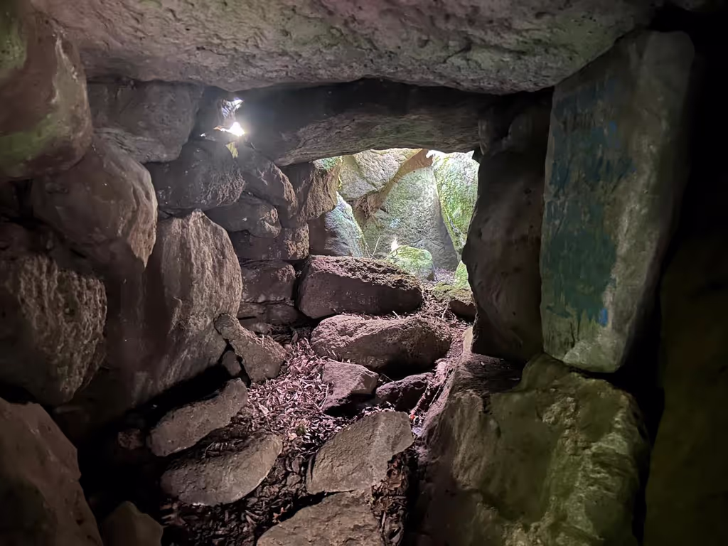 Tbilisi Private Tour - Gokhnari complex
