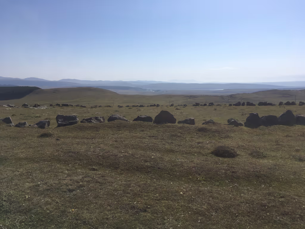 Tbilisi Private Tour - Tejisi stone circle