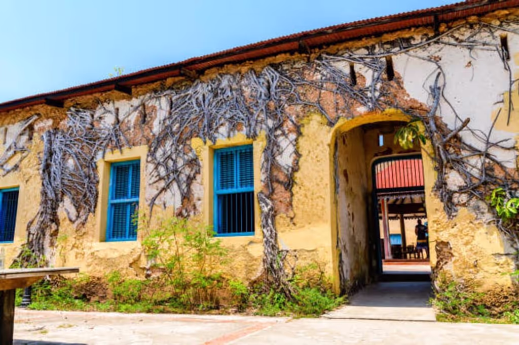 Zanzibar Private Tour - 