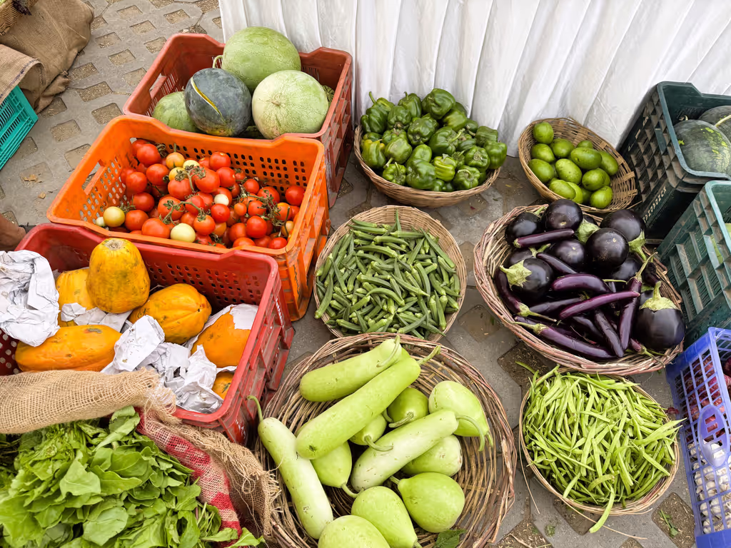 Delhi Private Tour - Organic produce