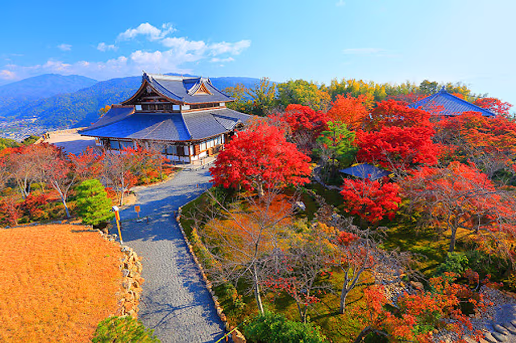 Kyoto Private Tour - Seiryuden
