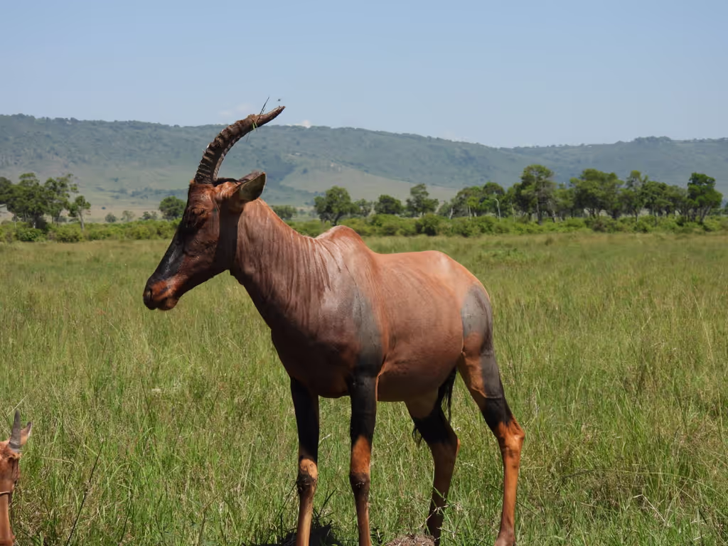 Rift Valley Private Tour - 
