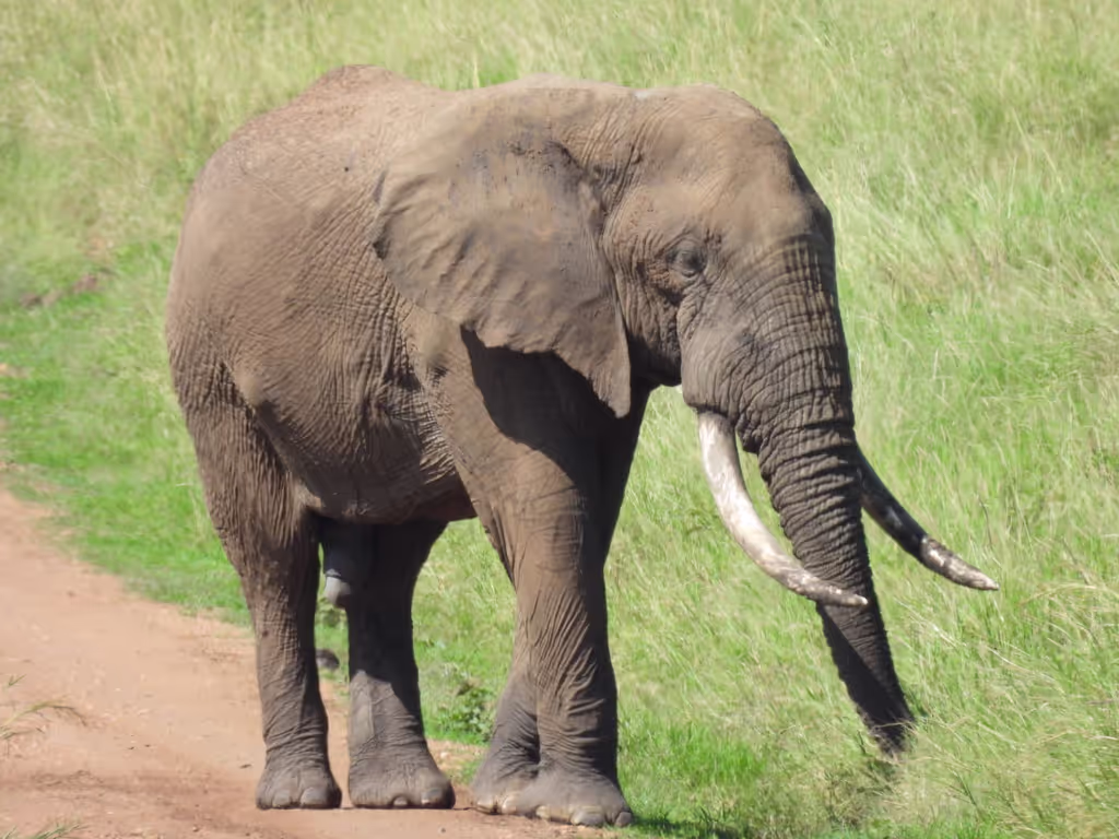 Rift Valley Private Tour - 