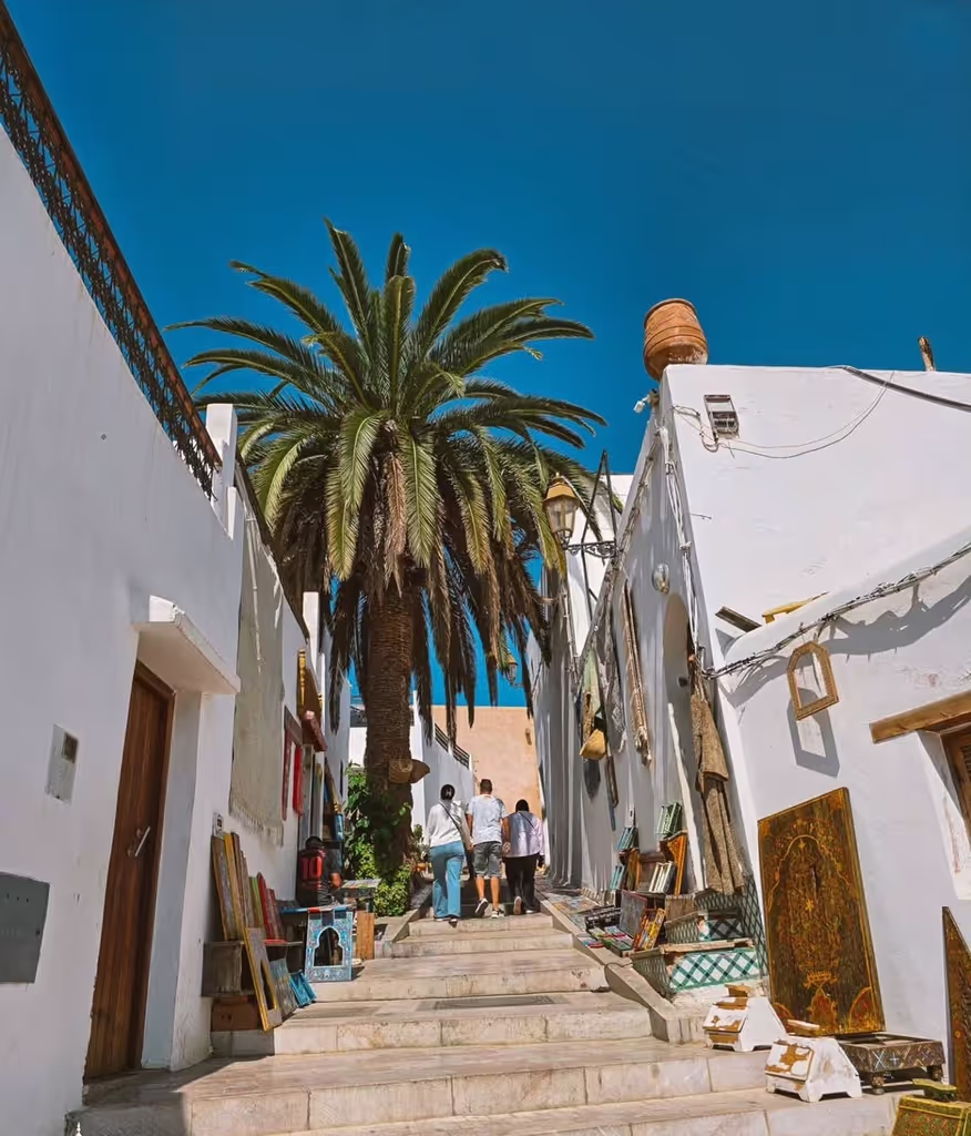 Rabat-Sale Private Tour - 