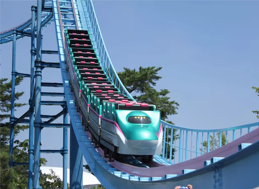 Saitama Private Tour - 
