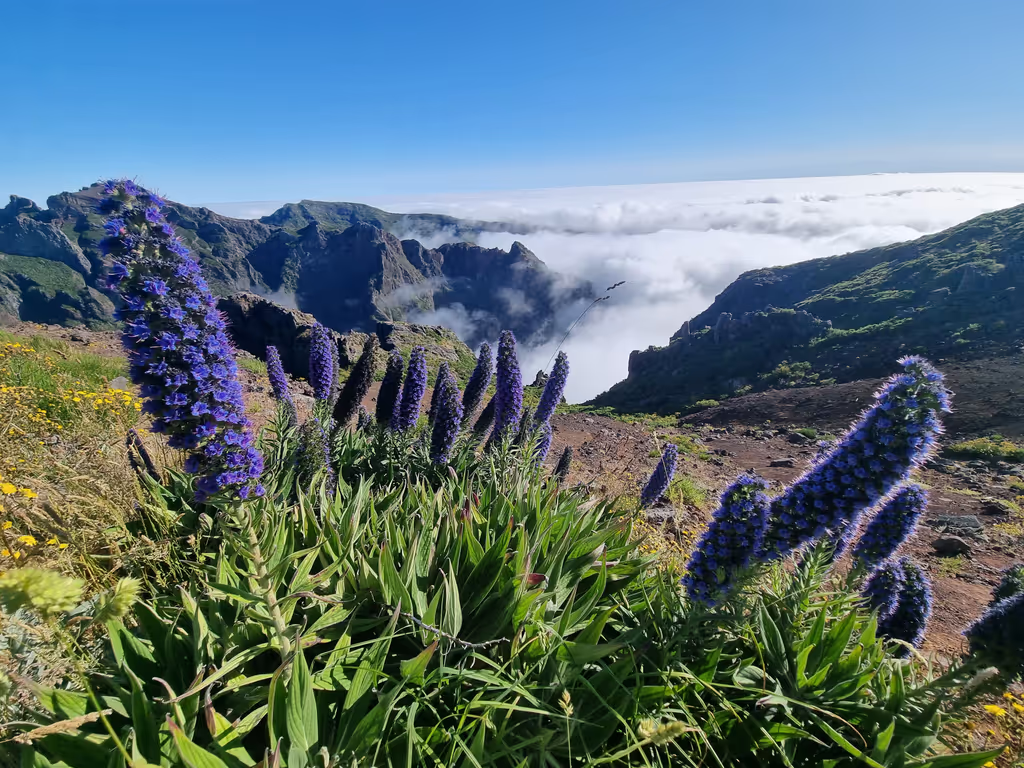 Madeira Private Tour - Pico do Areeiro