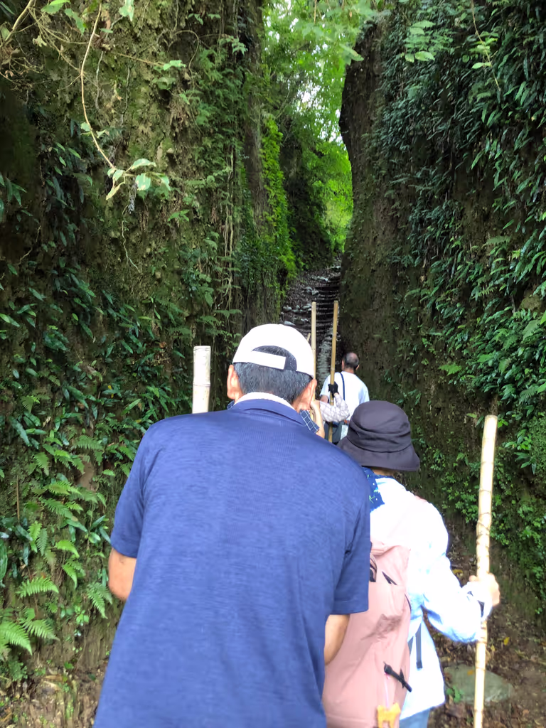 Kagoshima Private Tour - 