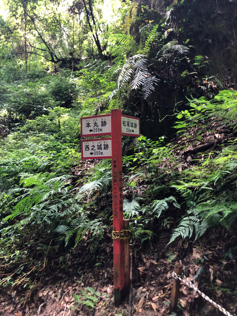 Kagoshima Private Tour - 