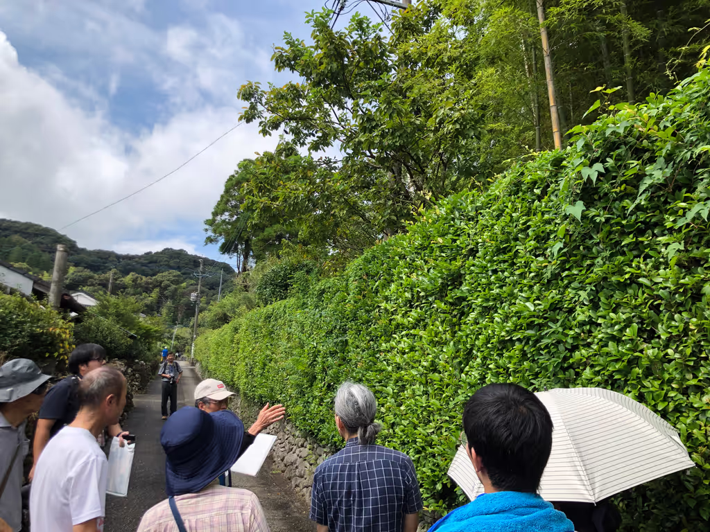 Kagoshima Private Tour - 
