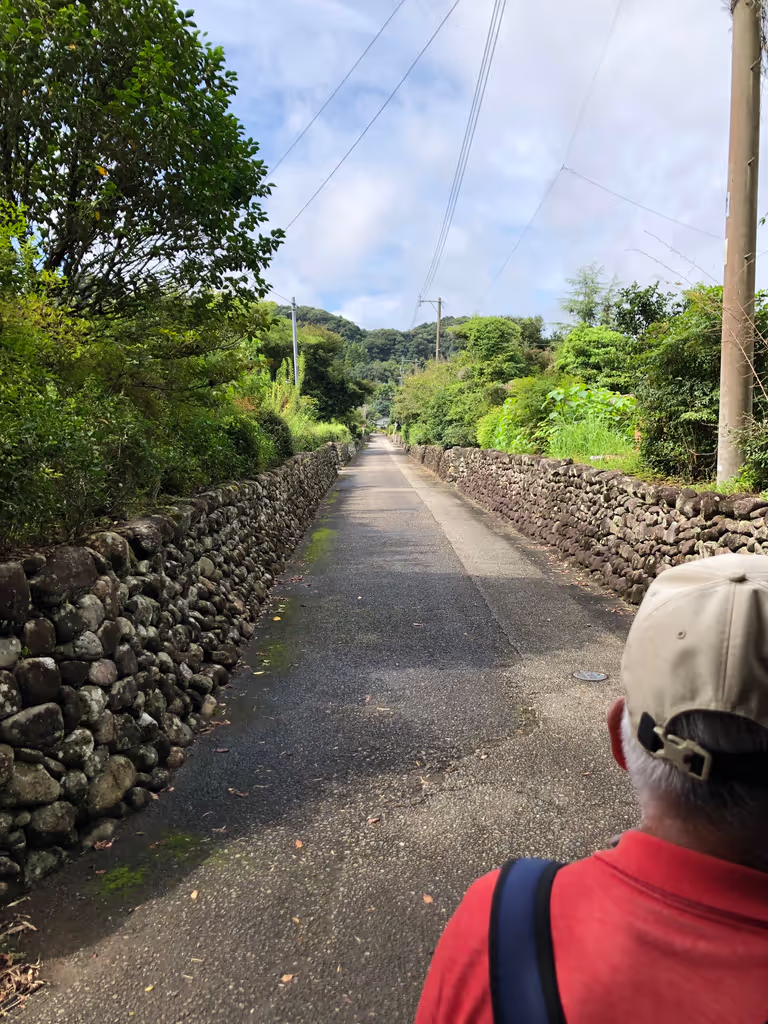 Kagoshima Private Tour - 