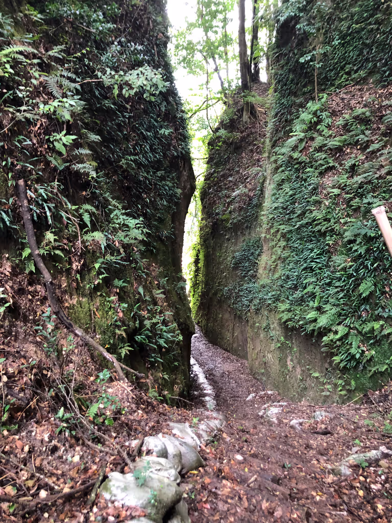 Kagoshima Private Tour - 