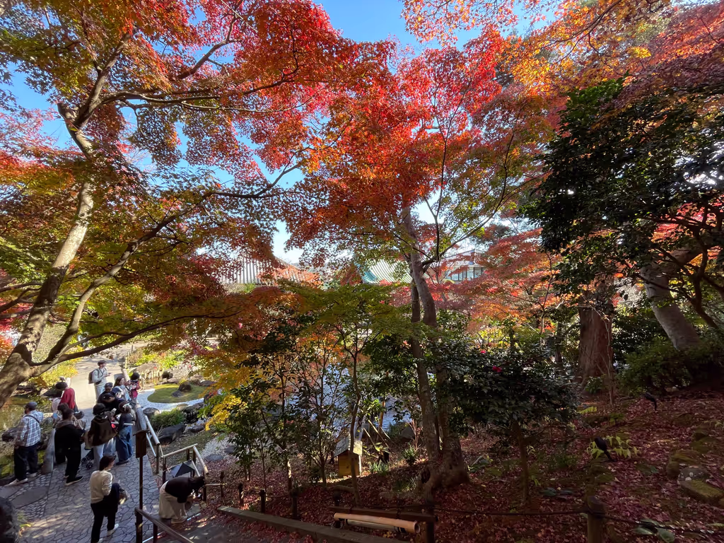 Kamakura Private Tour - Hase-dera Temple gardens in autumn