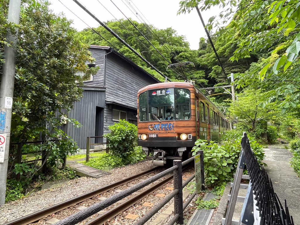 Kamakura Private Tour - One Piece wrapped Enoden train