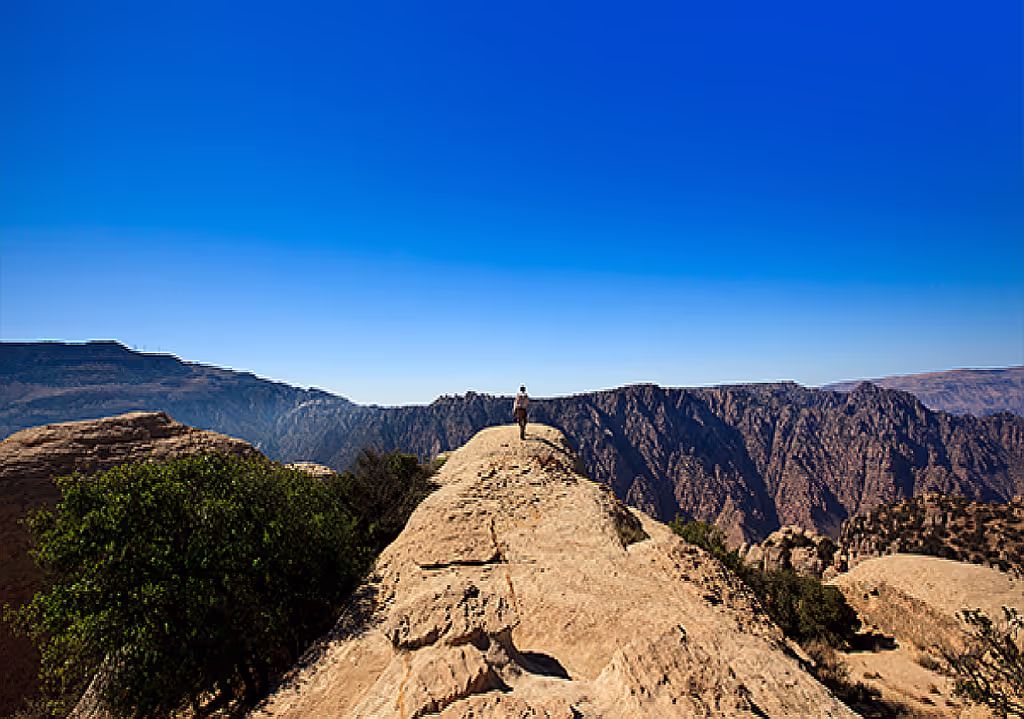 Petra Private Tour - 