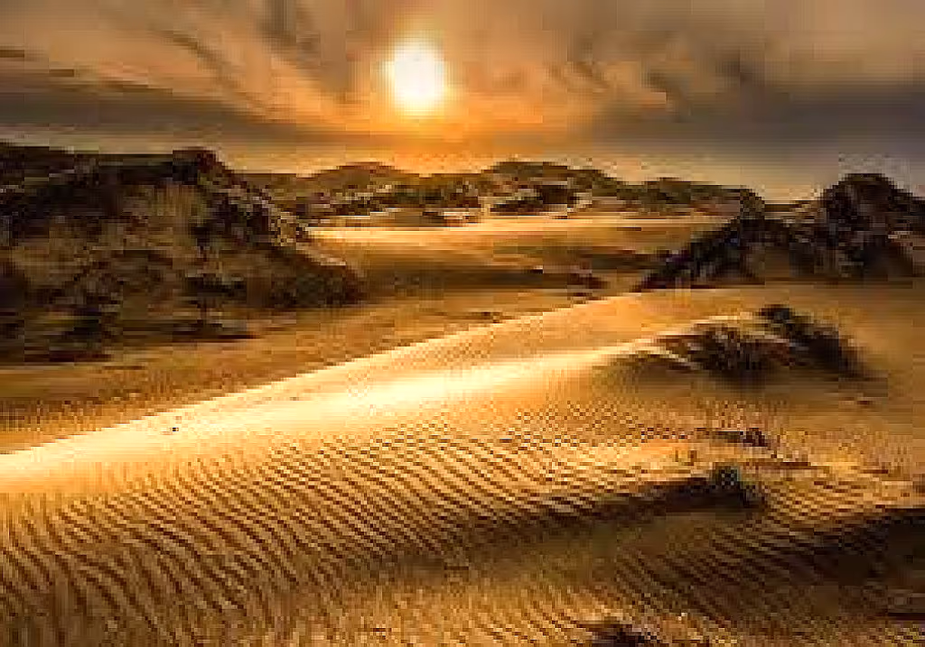 Amman Private Tour - Wadi Rum