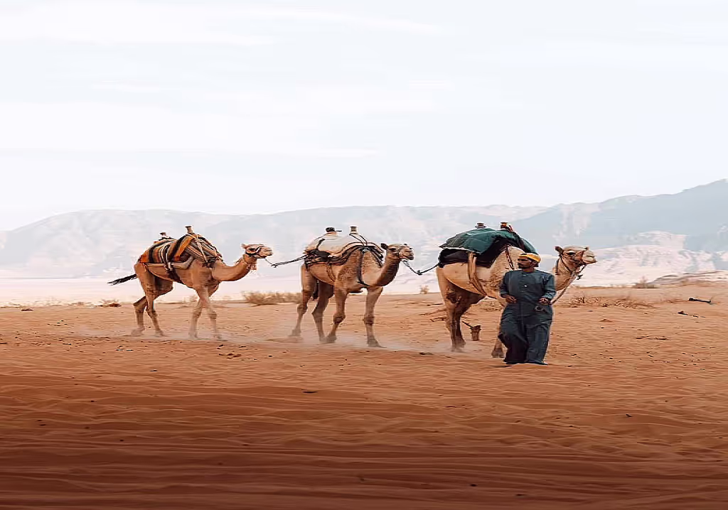 Amman Private Tour - Wadi Rum