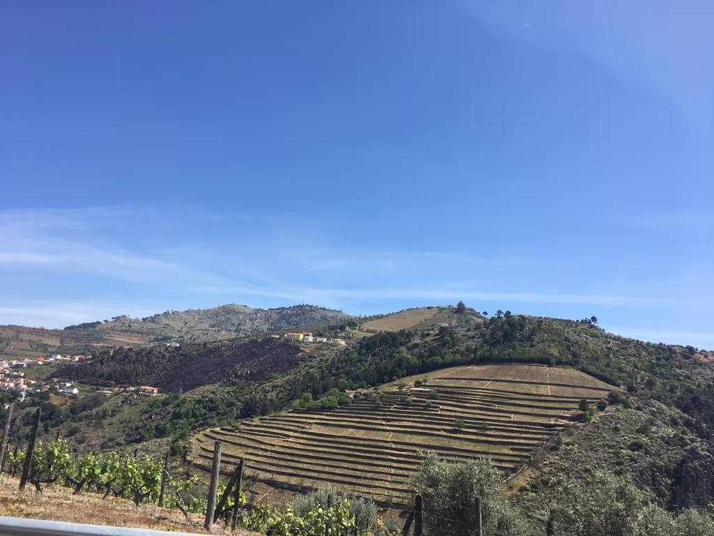Lisbon Private Tour - Douro Landscape