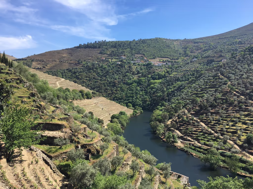 Lisbon Private Tour - Douro Landscape