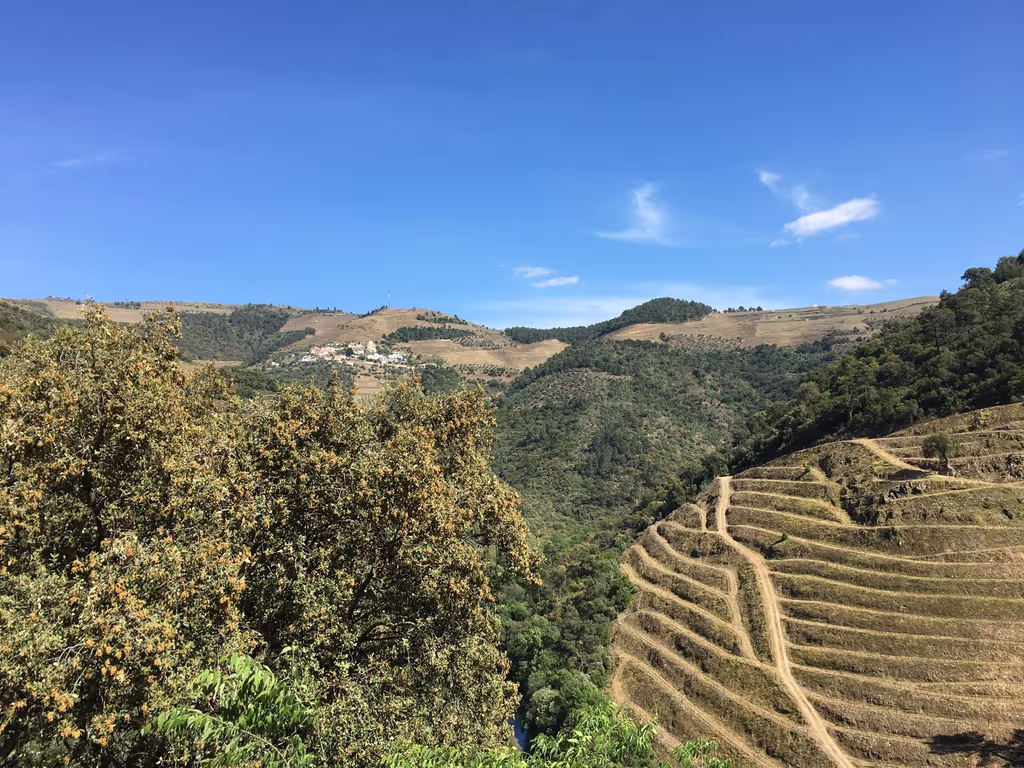 Lisbon Private Tour - Douro Landscape