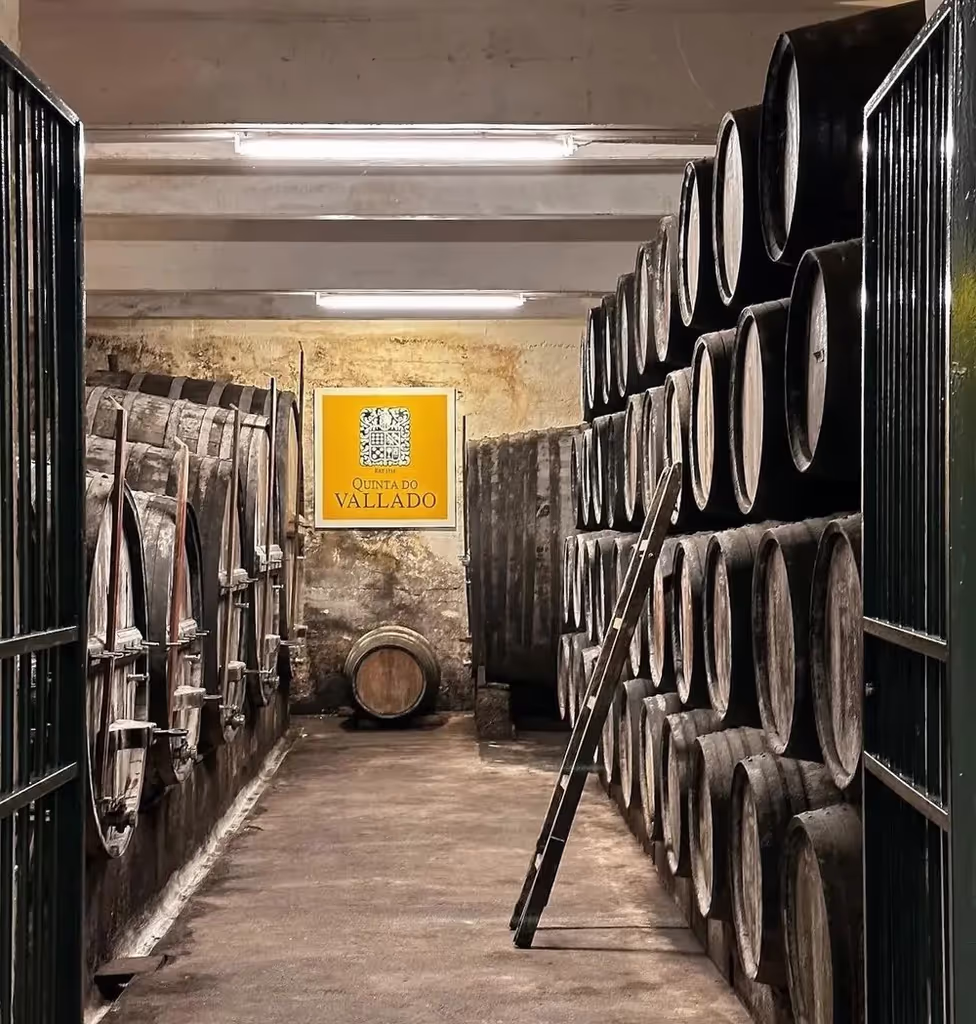 Lisbon Private Tour - Vallado Cellar