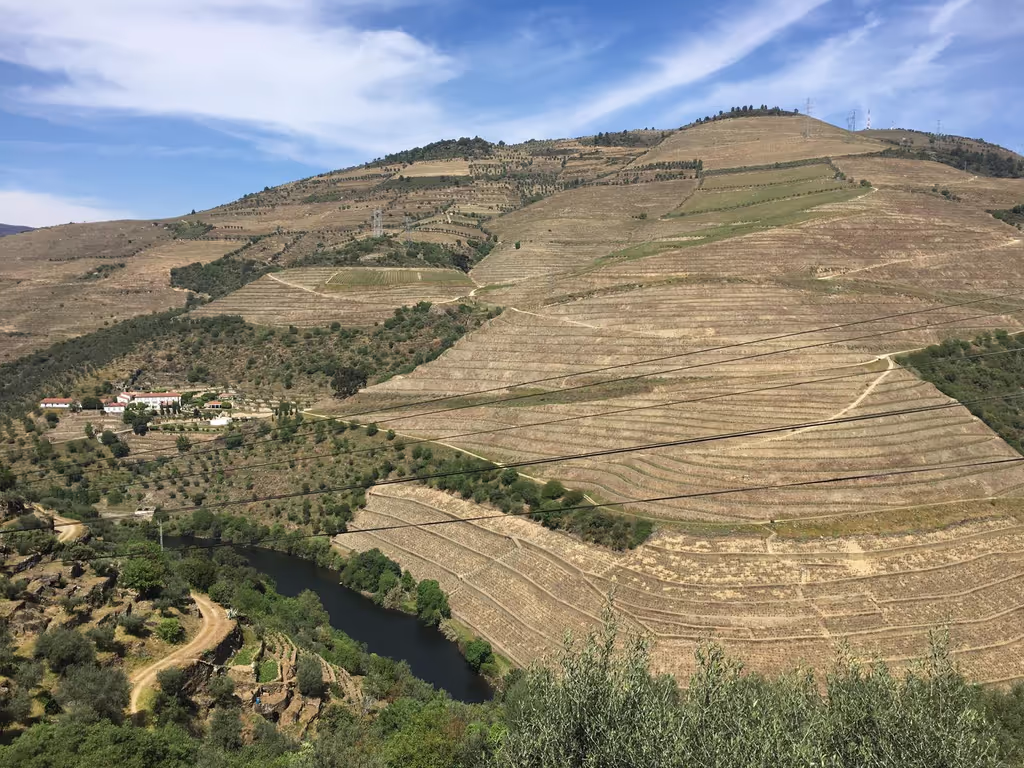 Lisbon Private Tour - Douro Landscape