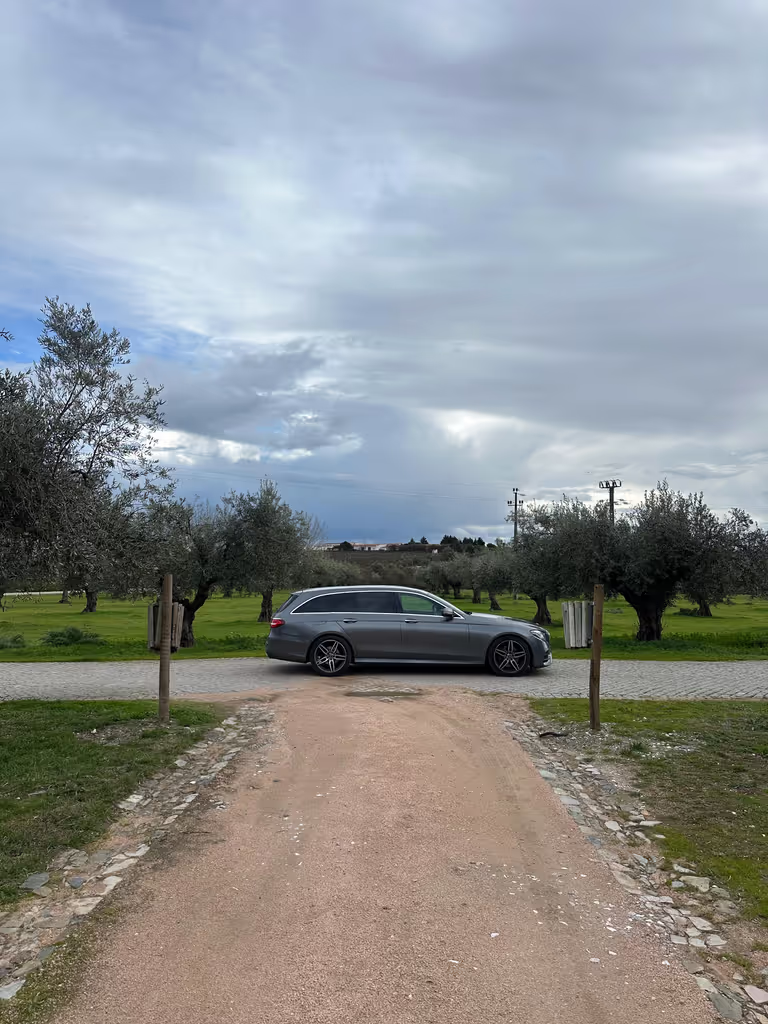Lisbon Private Tour - Private Transportation