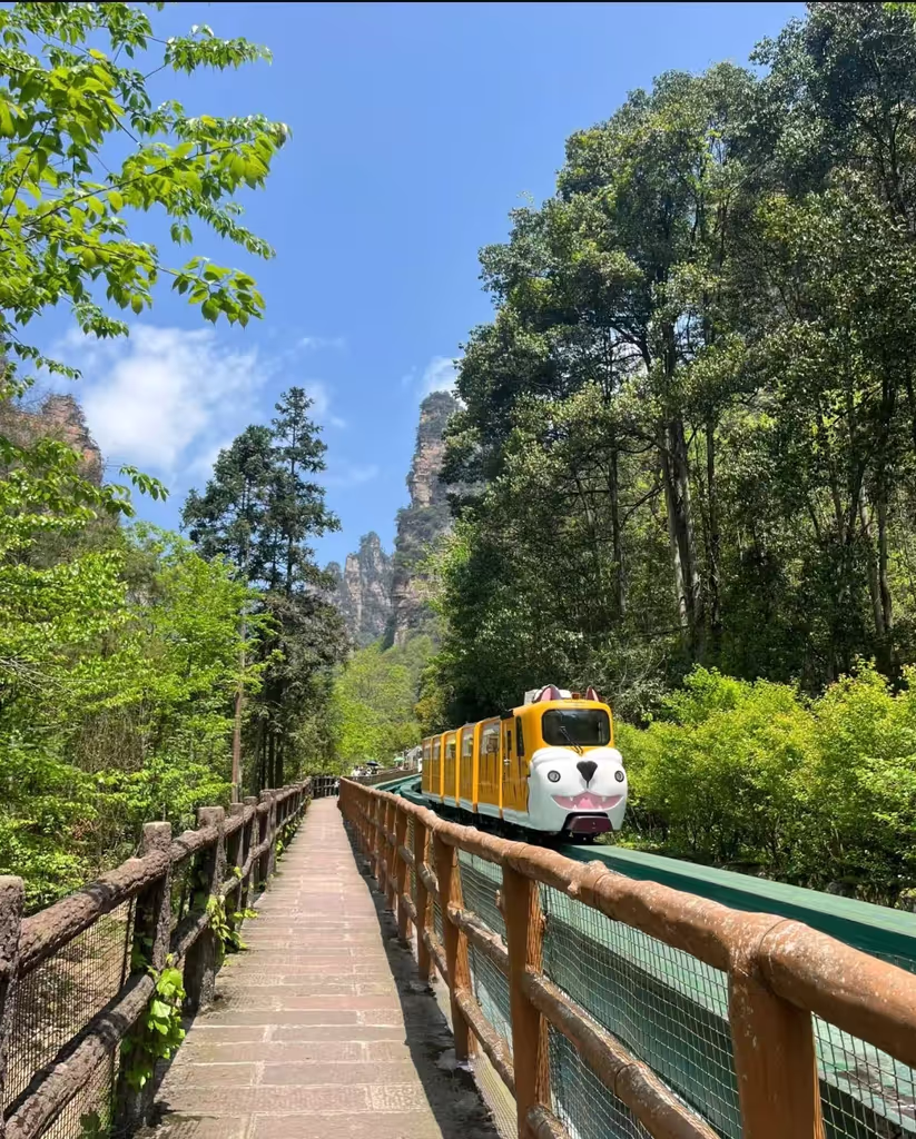 Zhangjiajie Private Tour - 