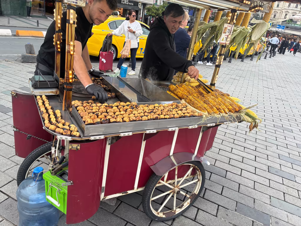 Istanbul Private Tour - Corn & Chestnut