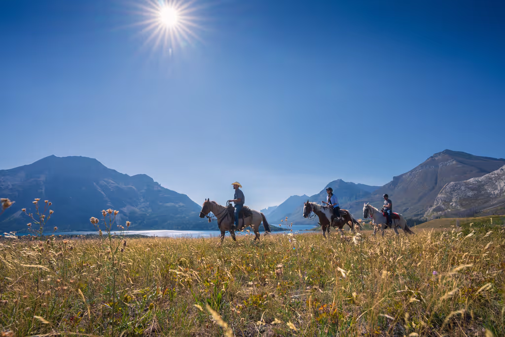 Calgary Private Tour - 