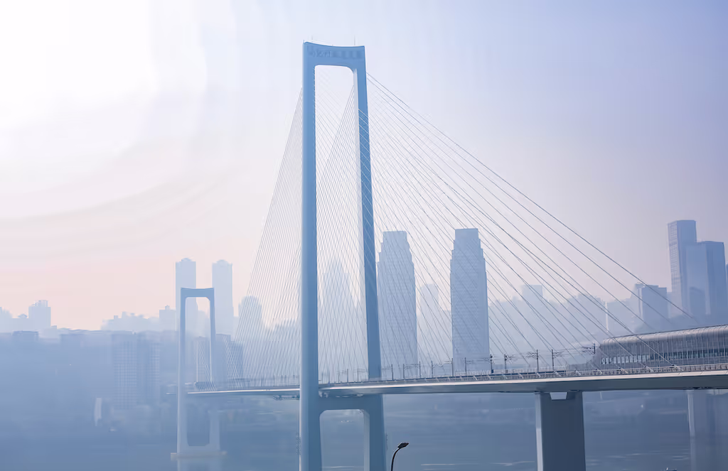 Chongqing Private Tour - 