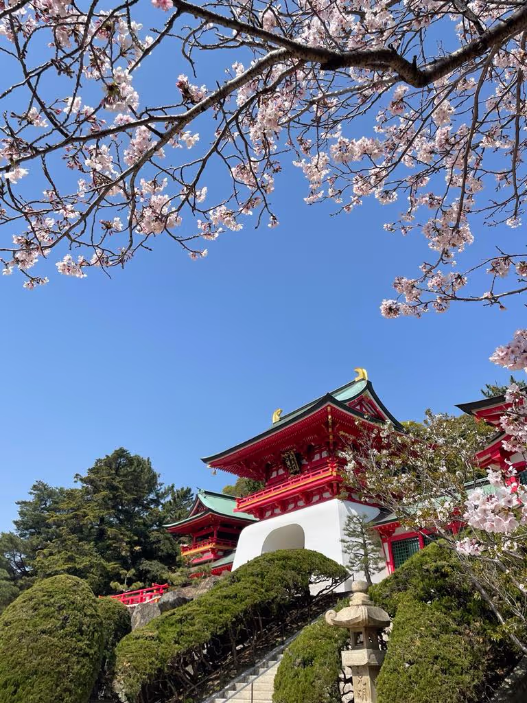Yamaguchi Private Tour - 