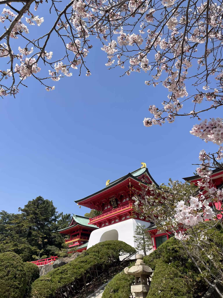 Fukuoka Private Tour - 