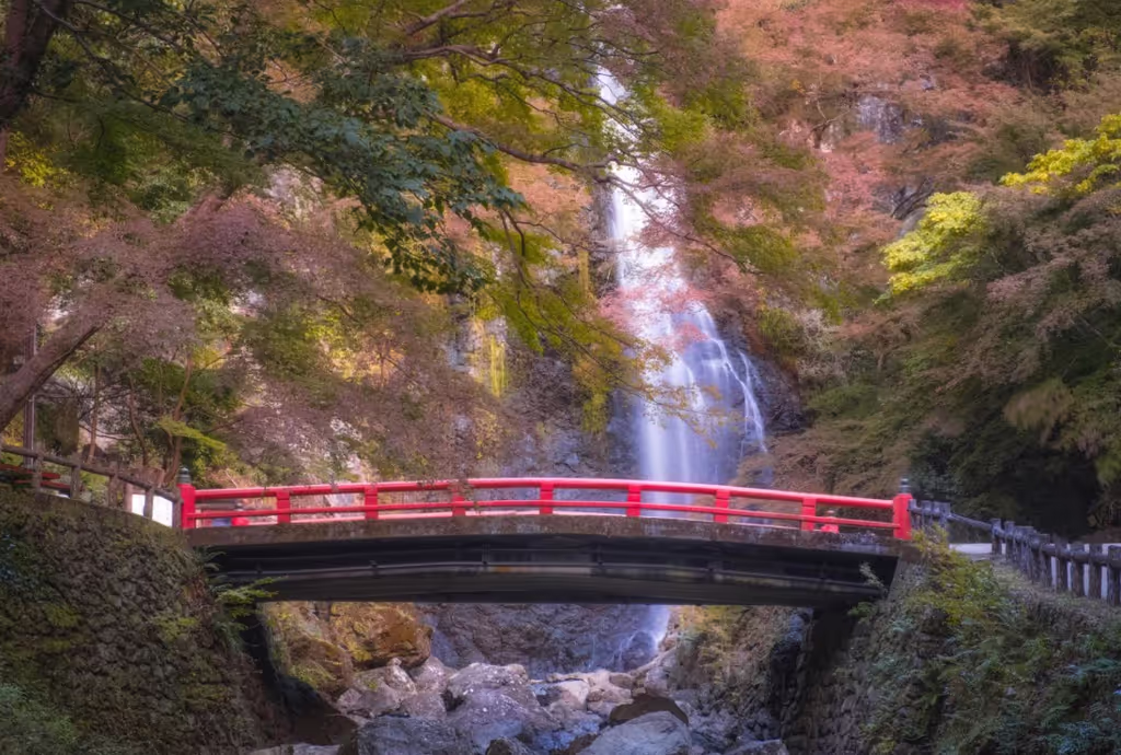 Osaka Private Tour - 