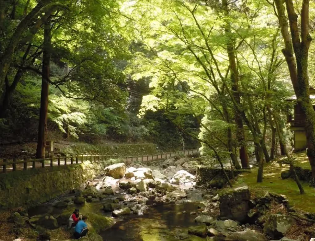 Osaka Private Tour - 