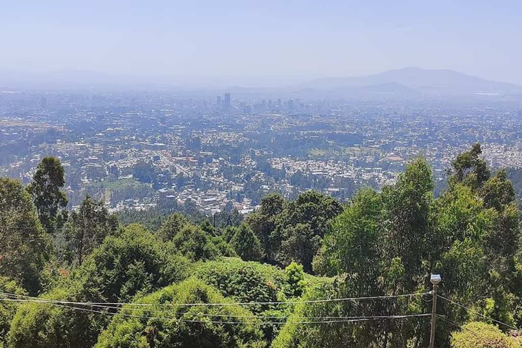 Addis Ababa Private Tour - 