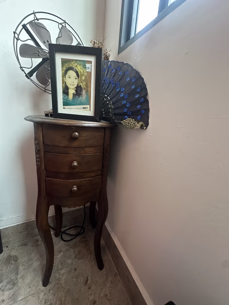 Singapore Private Tour - The Pink House SG Furniture